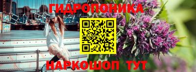 бошки Заводоуковск