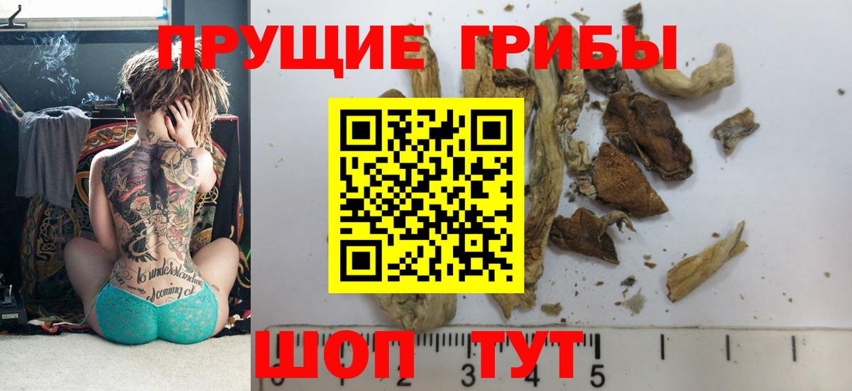 Псилоцибиновые грибы прущие грибы Канаш