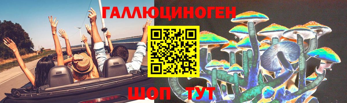 Псилоцибиновые грибы ЛСД  Вход с VPN  Канаш 